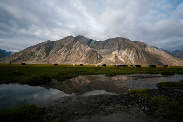 Scenic view of Zanskar Valley with rugged, snow-capped mountains, a winding river, and a remote landscape ideal for trekking and adventure activities in Leh Ladakh