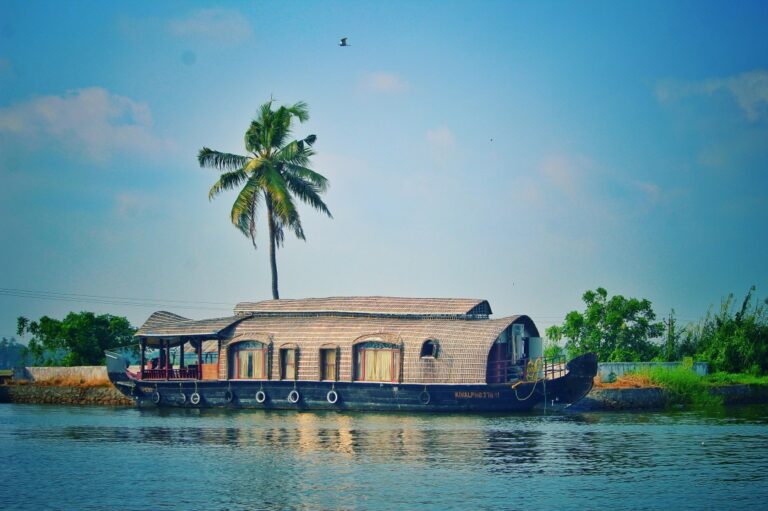 A traditional houseboat floating on the serene backwaters of Kerala, with a tall palm tree and lush greenery in the background under a clear blue sky.