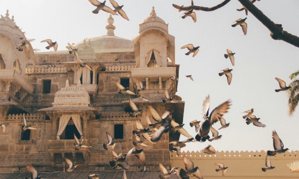 Bird soaring gracefully in the sky with a backdrop of the historic Udaipur Fort, capturing the serene beauty and heritage of Rajasthan